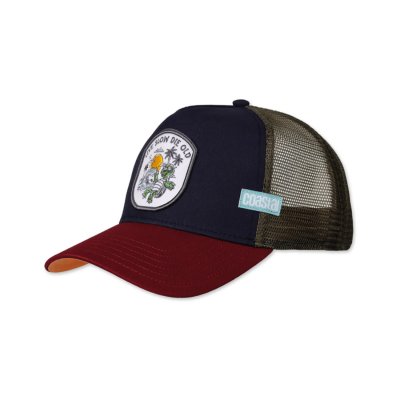 Lippis - Coastal HFT LSDO Turtle Trucker (moni)