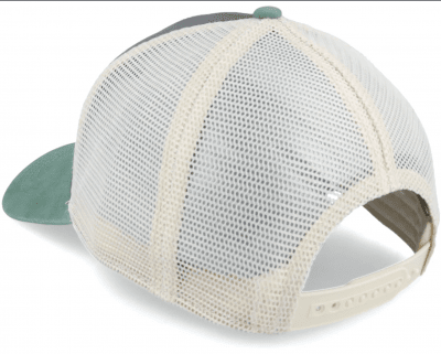 Lippis - American Needle Vermont Domino (harmaa)