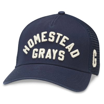 Lippis - American Needle Homestead Grays NL Valin Cap (tummansininen)