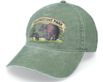 Lippis - American Needle Yellowstone National Park Trailhead Canopy (vert)