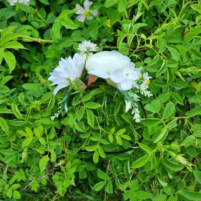 Kukkakruunu - Gårda Eden Flowerband (valkoinen)