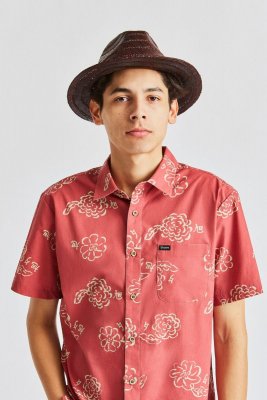 Hatut - Brixton Messer Straw (ruskea)